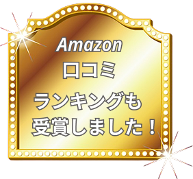 レビュー1